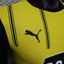BORUSSIA DORTMUND (JUGADOR) 24/25