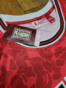 Maillot Bape Mitchell & Ness Chicago Bulls - Lux Shop