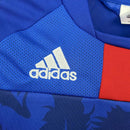JAPON | 2010